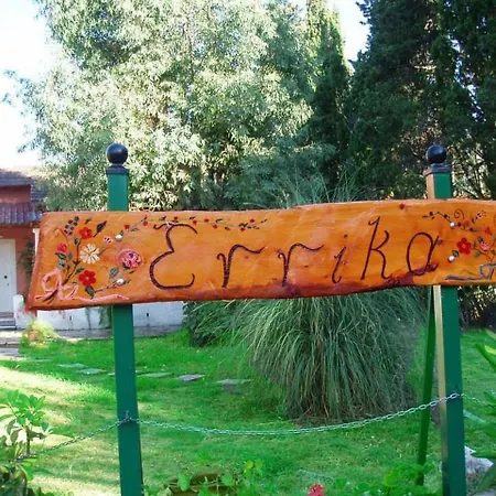 Errika 입소스