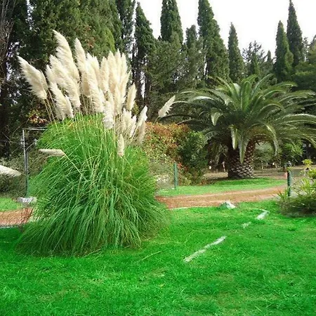 Errika Ipsos