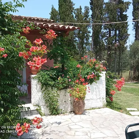 Errika Διαμέρισμα *