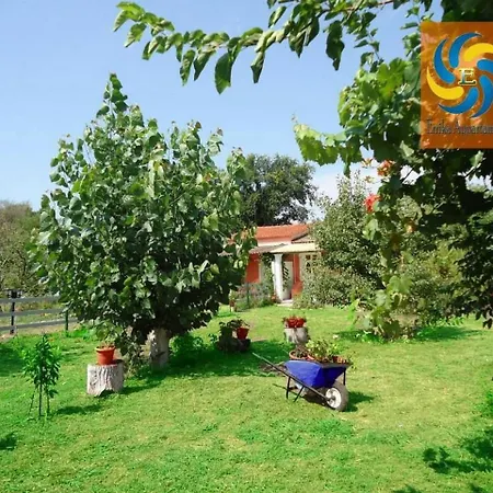 Errika Ipsos