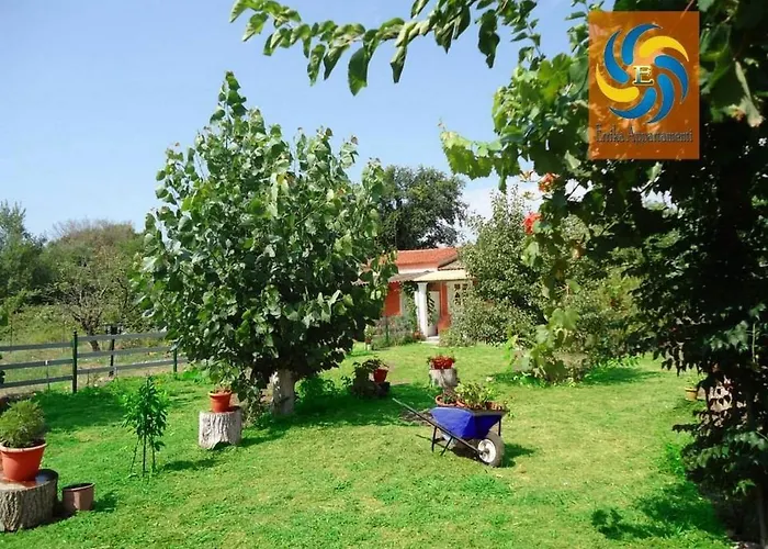 Errika Ипсос