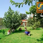 Errika Ипсос